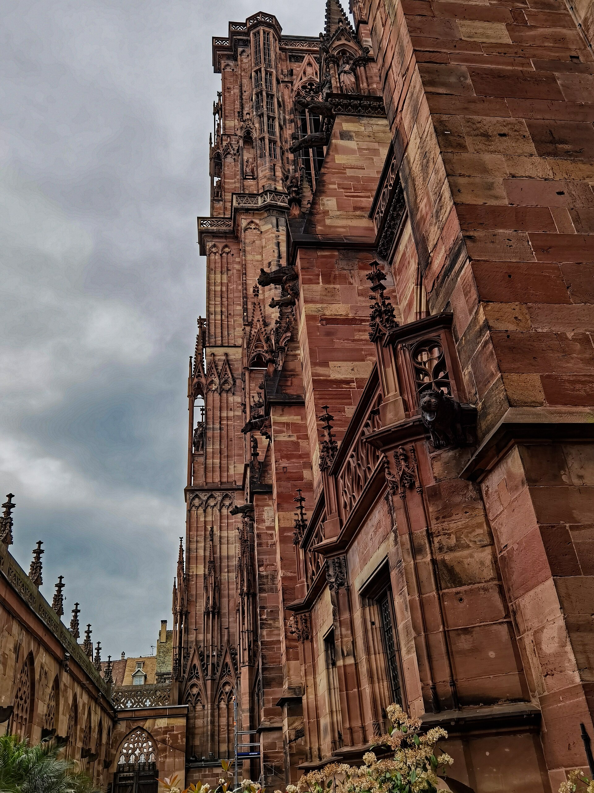 Strasbourg Cathedral